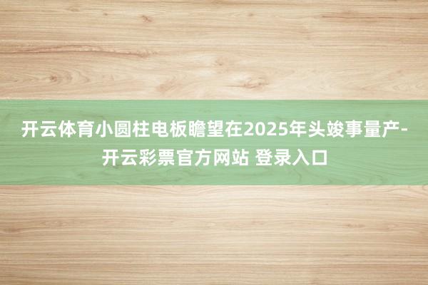 开云体育小圆柱电板瞻望在2025年头竣事量产-开云彩票官方网站 登录入口