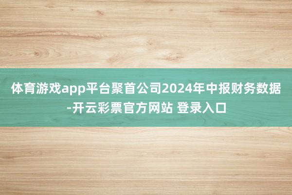 体育游戏app平台聚首公司2024年中报财务数据-开云彩票官方网站 登录入口